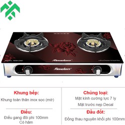 Bếp ga đôi đầu đốt đồng Raiden RDB-2260 dùng điếu gang chống Oxy hóa